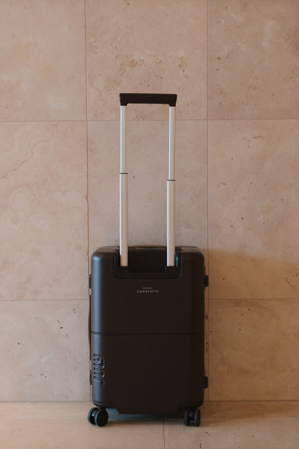 July x HS Luggage Carry on Trunk